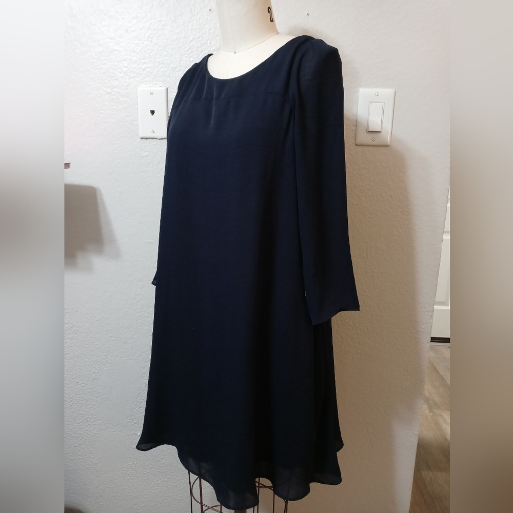 Beautiful Elegant Zara Dress